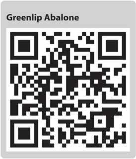 Image for QR code for this page